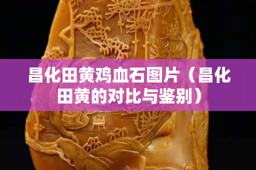 昌化田黄鸡血石图片（昌化田黄的对比与鉴别）