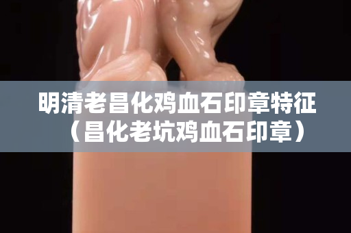明清老昌化鸡血石印章特征（昌化老坑鸡血石印章）