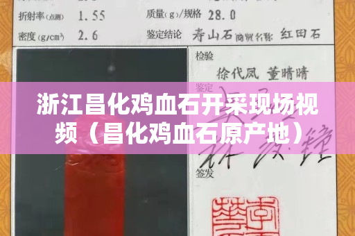 浙江昌化鸡血石开采现场视频（昌化鸡血石原产地）