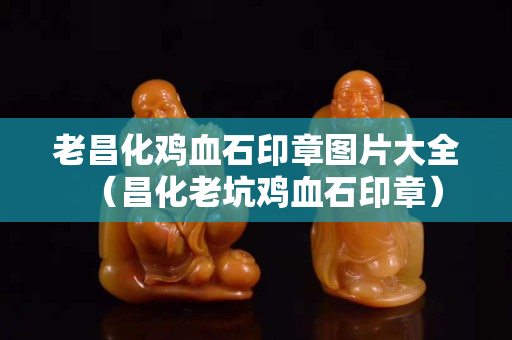 老昌化鸡血石印章图片大全（昌化老坑鸡血石印章）