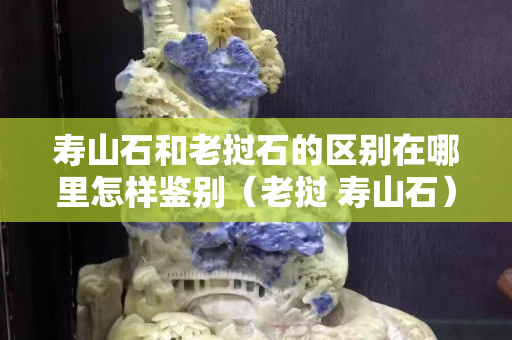 寿山石和老挝石的区别在哪里怎样鉴别（老挝 寿山石）