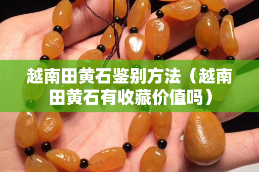 越南田黄石鉴别方法（越南田黄石有收藏价值吗）