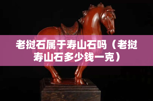 老挝石属于寿山石吗（老挝寿山石多少钱一克）