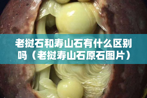 老挝石和寿山石有什么区别吗（老挝寿山石原石图片）