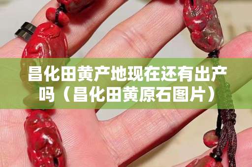 昌化田黄产地现在还有出产吗（昌化田黄原石图片）