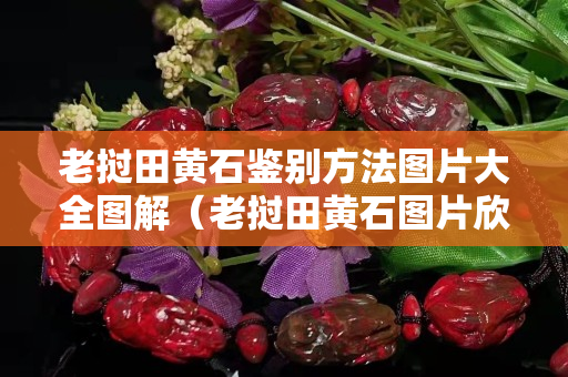 老挝田黄石鉴别方法图片大全图解（老挝田黄石图片欣赏）