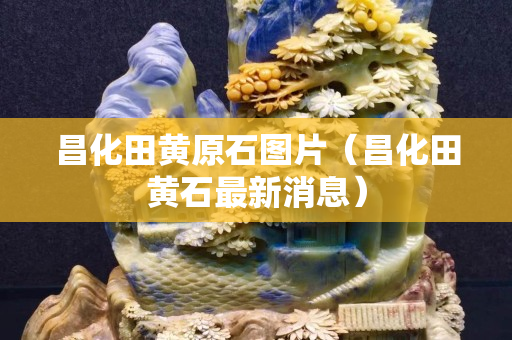 昌化田黄原石图片（昌化田黄石最新消息）