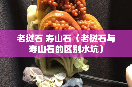 老挝石 寿山石（老挝石与寿山石的区别水坑）