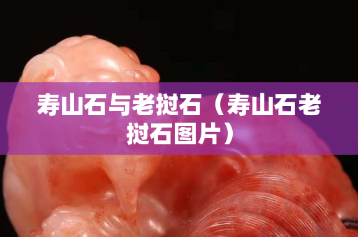 寿山石与老挝石（寿山石老挝石图片）