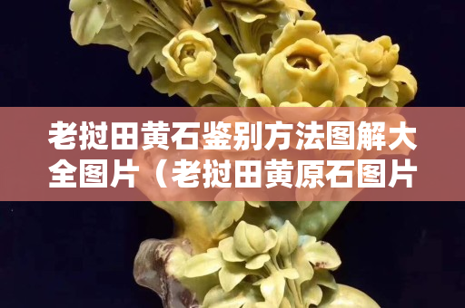 老挝田黄石鉴别方法图解大全图片（老挝田黄原石图片）