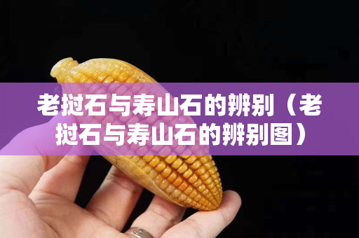 老挝石与寿山石的辨别（老挝石与寿山石的辨别图）