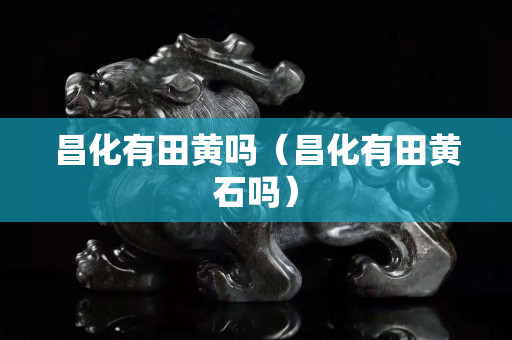 昌化有田黄吗（昌化有田黄石吗）