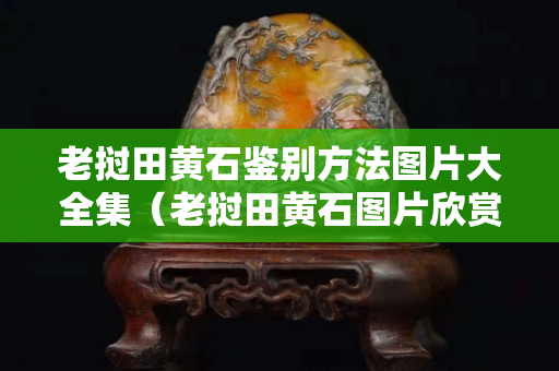 老挝田黄石鉴别方法图片大全集（老挝田黄石图片欣赏）
