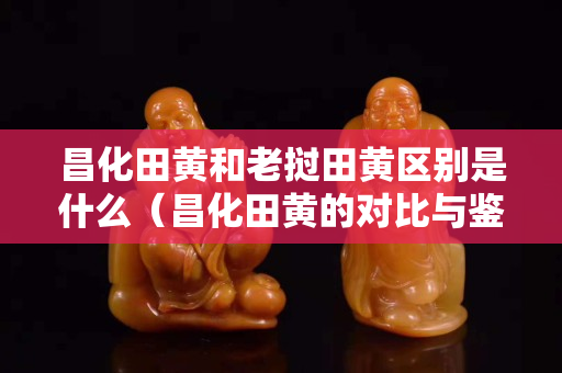 昌化田黄和老挝田黄区别是什么（昌化田黄的对比与鉴别）