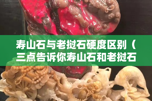 寿山石与老挝石硬度区别（三点告诉你寿山石和老挝石的区别）