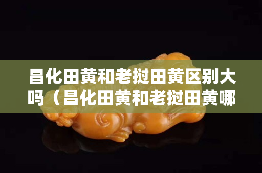 昌化田黄和老挝田黄区别大吗（昌化田黄和老挝田黄哪个有收藏价值）