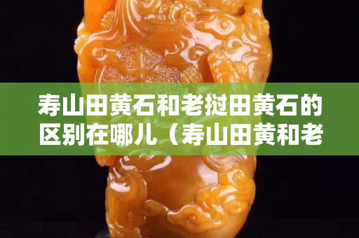 寿山田黄石和老挝田黄石的区别在哪儿（寿山田黄和老挝田黄科学鉴定的区别）