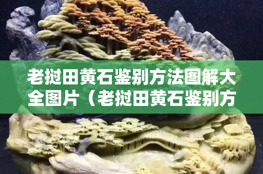 老挝田黄石鉴别方法图解大全图片（老挝田黄石鉴别方法图解大全图片及价格）