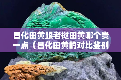 昌化田黄跟老挝田黄哪个贵一点（昌化田黄的对比鉴别）