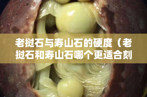 老挝石与寿山石的硬度（老挝石和寿山石哪个更适合刻章）
