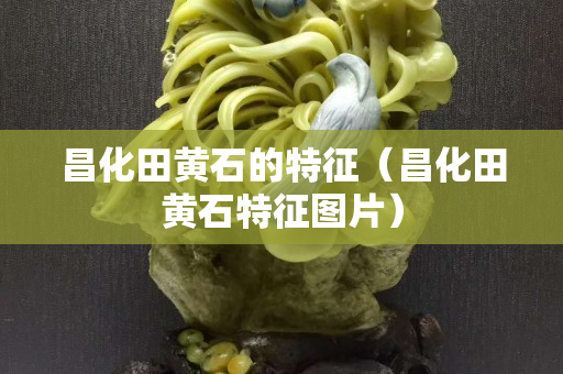 昌化田黄石的特征（昌化田黄石特征图片）