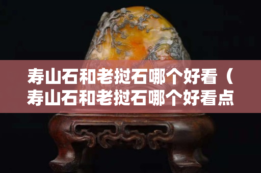 寿山石和老挝石哪个好看（寿山石和老挝石哪个好看点）