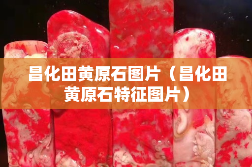昌化田黄原石图片（昌化田黄原石特征图片）