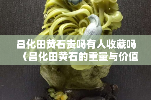 昌化田黄石贵吗有人收藏吗（昌化田黄石的重量与价值）