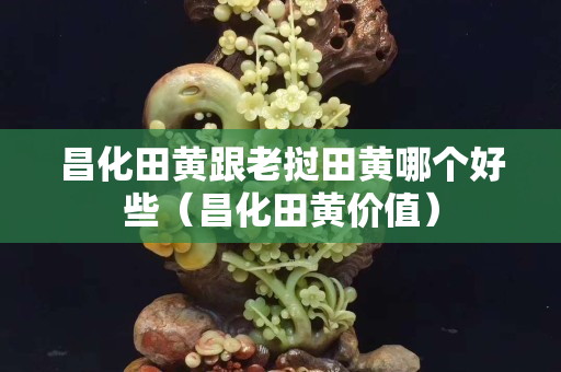 昌化田黄跟老挝田黄哪个好些（昌化田黄价值）
