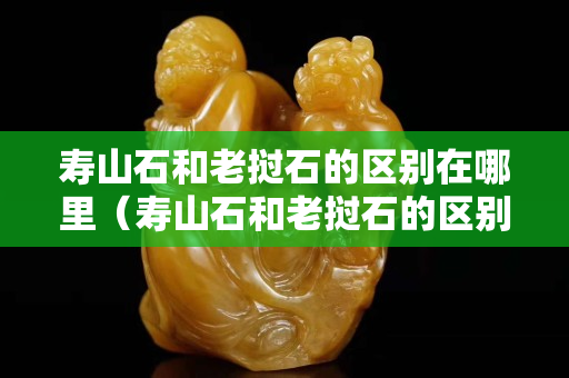 寿山石和老挝石的区别在哪里（寿山石和老挝石的区别在哪里图片）