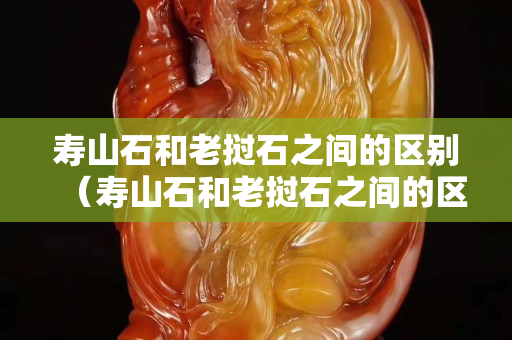 寿山石和老挝石之间的区别（寿山石和老挝石之间的区别在哪）