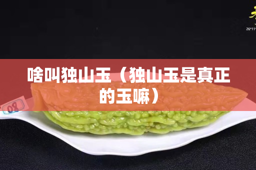 啥叫独山玉（独山玉是真正的玉嘛）