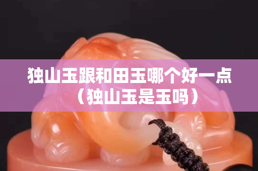 独山玉跟和田玉哪个好一点（独山玉是玉吗）