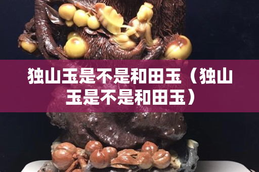 独山玉是不是和田玉（独山玉是不是和田玉）