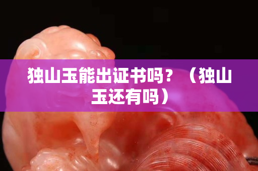 独山玉能出证书吗？（独山玉还有吗）