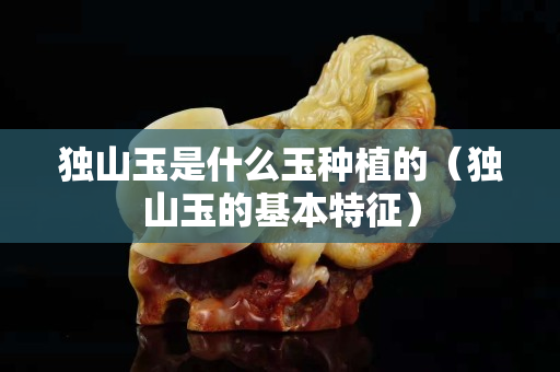 独山玉是什么玉种植的（独山玉的基本特征）