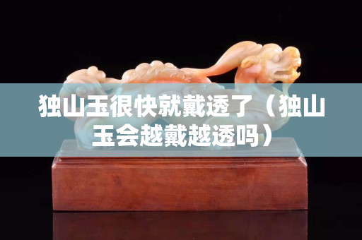 独山玉很快就戴透了（独山玉会越戴越透吗）