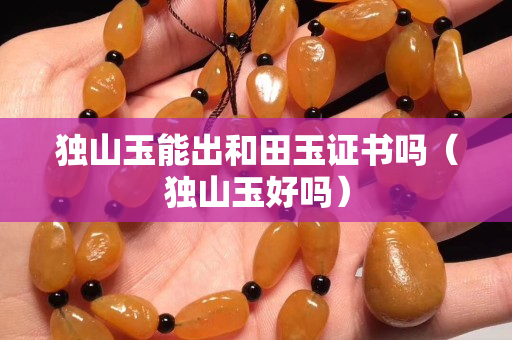 独山玉能出和田玉证书吗（独山玉好吗）