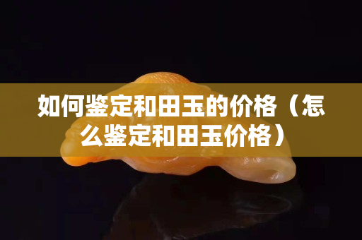 如何鉴定和田玉的价格（怎么鉴定和田玉价格）