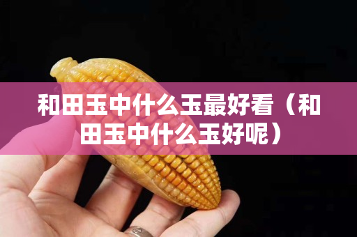 和田玉中什么玉最好看（和田玉中什么玉好呢）