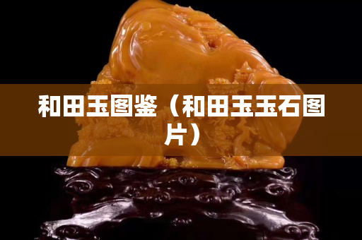 和田玉图鉴（和田玉玉石图片）