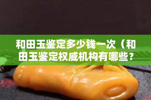 和田玉鉴定多少钱一次（和田玉鉴定权威机构有哪些？）