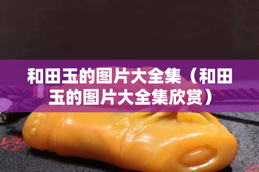 和田玉的图片大全集（和田玉的图片大全集欣赏）