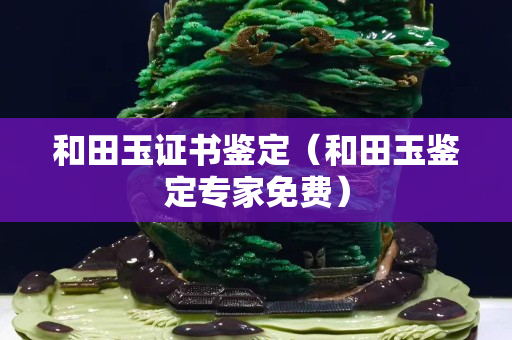 和田玉证书鉴定（和田玉鉴定专家免费）