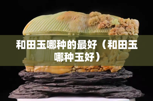 和田玉哪种的最好（和田玉哪种玉好）