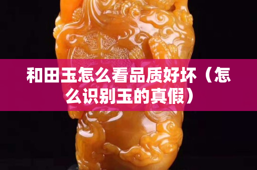 和田玉怎么看品质好坏（怎么识别玉的真假）