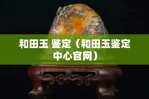 和田玉 鉴定（和田玉鉴定中心官网）