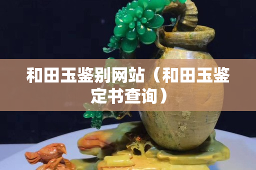 和田玉鉴别网站（和田玉鉴定书查询）