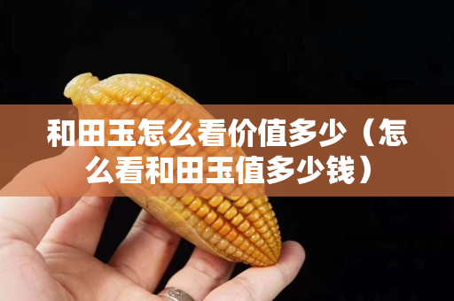 和田玉怎么看价值多少（怎么看和田玉值多少钱）