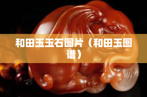 和田玉玉石图片（和田玉图谱）